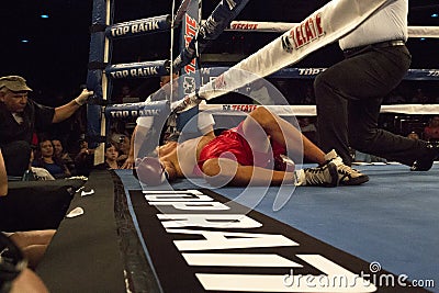 Pro Boxing in Phoenix, Arizona