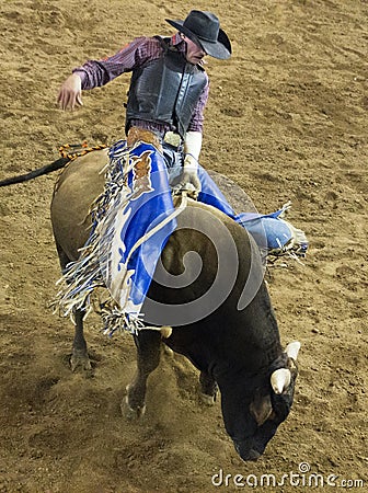 Professional Bull Riding Competition