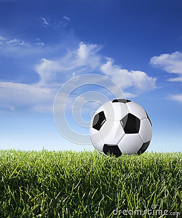 Profile of soccer ball in grass against blue sky