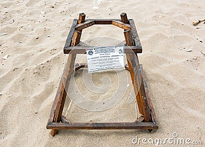Protection cage covers loggerhead sea turtle eggs at a turtle nesting beach