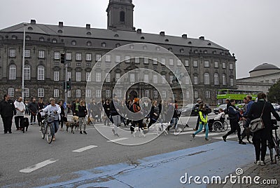 PROTEST RALLY DOG WALK AGAINST DOG LAW