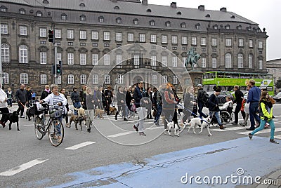 PROTEST RALLY DOG WALK AGAINST DOG LAW