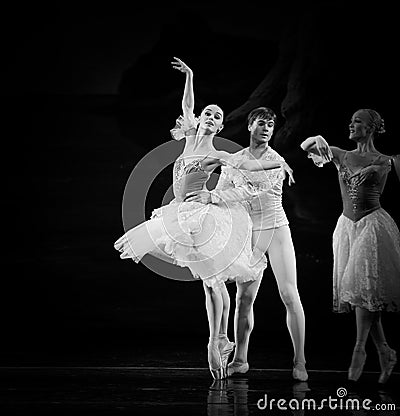 Proud Swan in Ballet