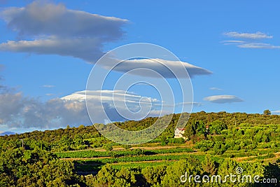 Provence rural landscape, France