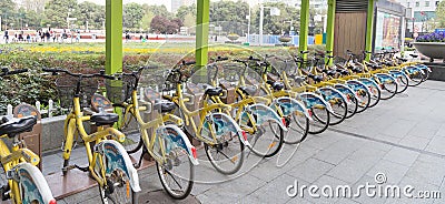 Public bicycle
