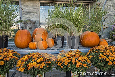 Pumkins & Flowers