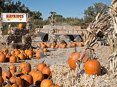 Pumpkin Patch complete with a hay ride