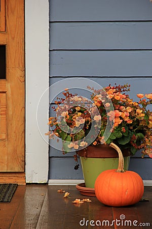 Pumpkin and potted plant at door