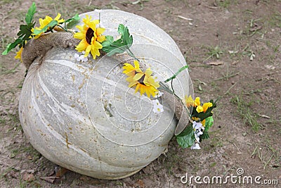 Pumpkin Thanksgiving Day Card - Stock Photos