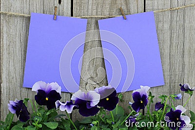 Purple note cards hanging on clothesline with purple flower border