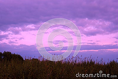 Purple Sky Behind Meadow