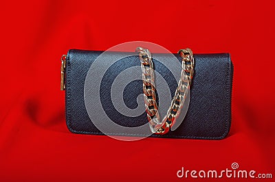 Purse and a necklace on red background