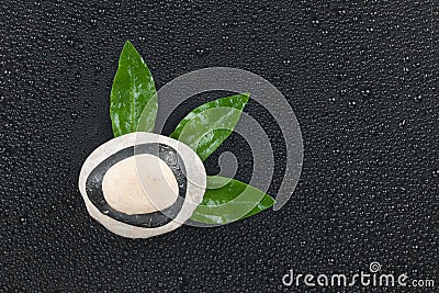 Pyramid stones and leaf lie on a wet black background