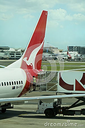 Qantas fleet grounded worldwide, Australia