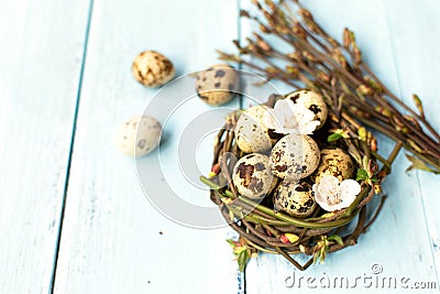 Quail eggs in the nest