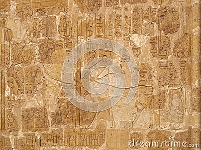 Queen Hatshepsut and sacred cow relief