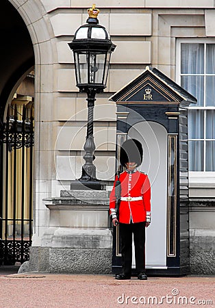 Queen s Guard, Buckingham Palace, London