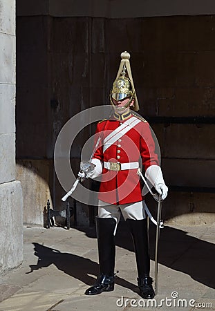 The Queen s Life Guard