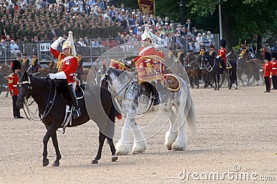 The Queens Birthday Parade.