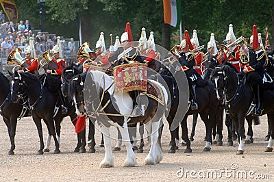 The Queens Birthday Parade.