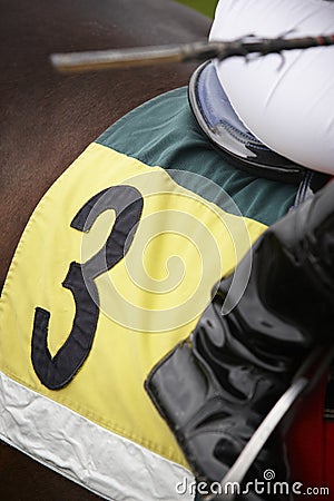 Race horse detail and jockey ready to run