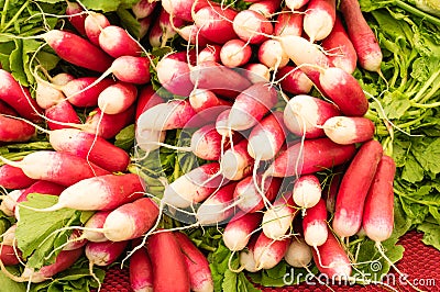 Radishes on display at the farmer s market