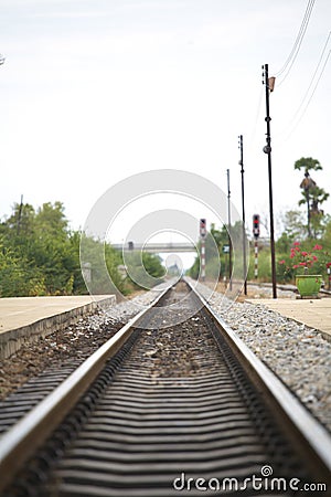 Rail way and tree