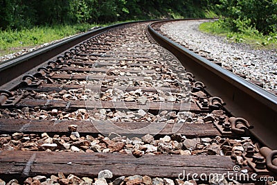 Railroad tracks stretch into forest