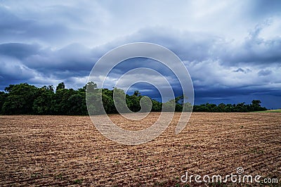 Rain Coming in the Fields 2