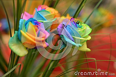 Rainbow Roses