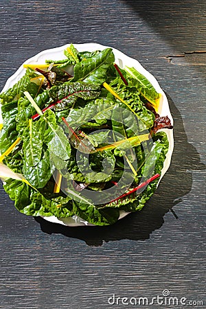 Rainbow Swiss Chard Fresh Leaves