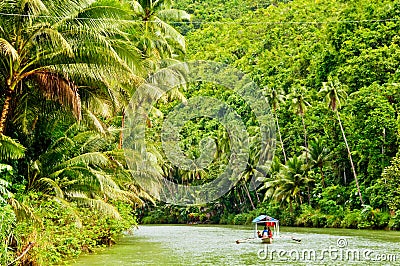 Rainforest River Cruise