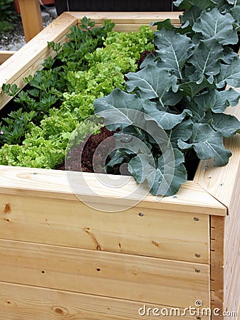 Raised garden bed for container gardening