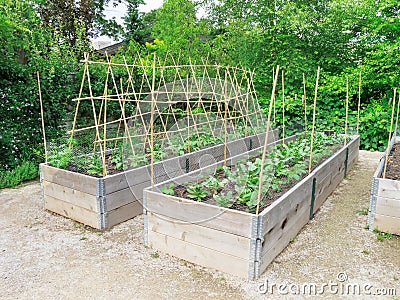 Raised Garden Frames