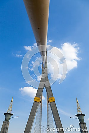 Rama VIII桥梁 库存照片 - 图片: 39757561