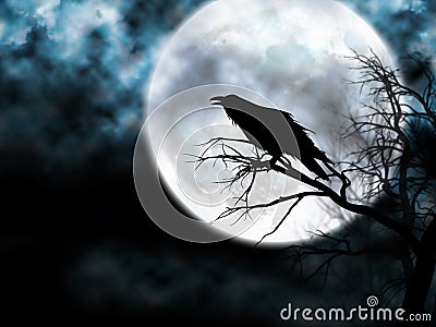 Raven on the Night Sky