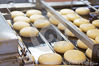 Raw Donuts On Conveyor