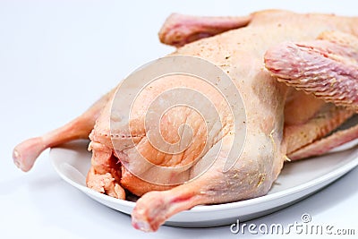 Raw roast goose