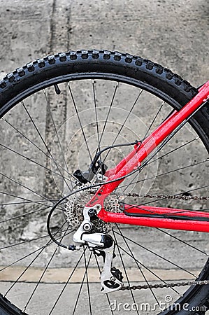 Rear bike cassette on the wheel with chain