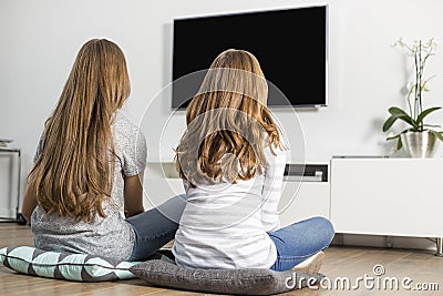 Rear view of siblings watching TV at home