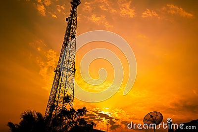 Reception antenna and satellite dish