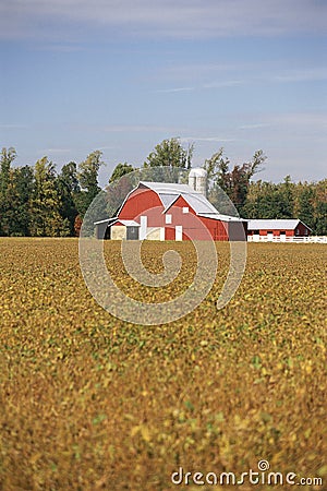 Red barn