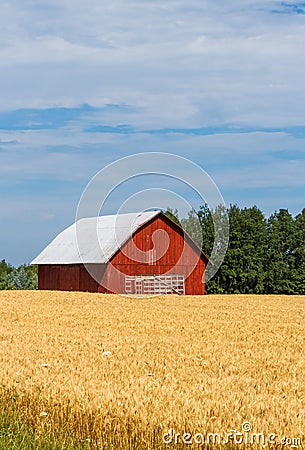 Red Barn in Field