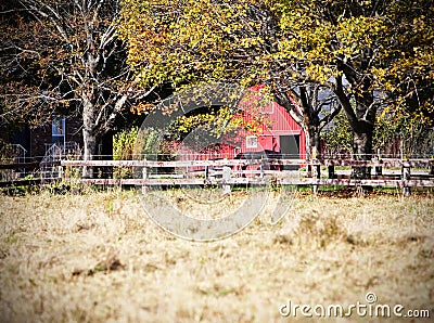 Red barn with horse