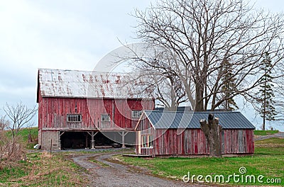 Red barn and a shed