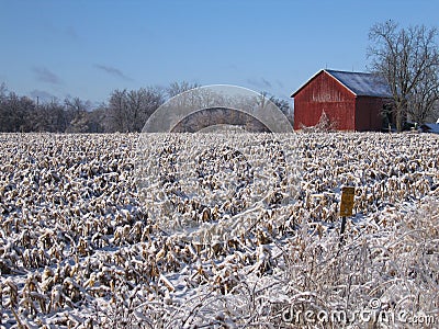 Red Barn in Snowy Field