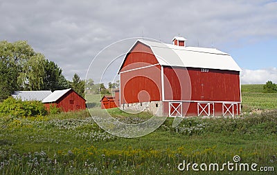 Red barn in summer field