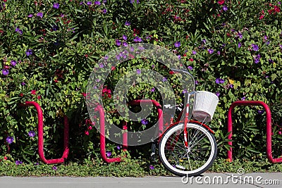 Red bike with white basket