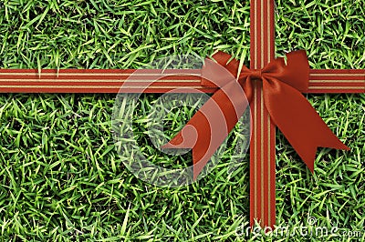 Red bow on fresh green grass background.