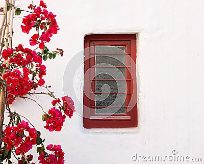 Red box on a white building with beautiful bougainvillea flowers